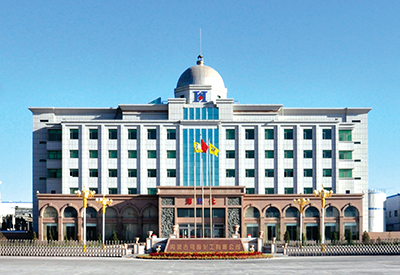 內蒙古烏?；び邢薰韭葔A項目